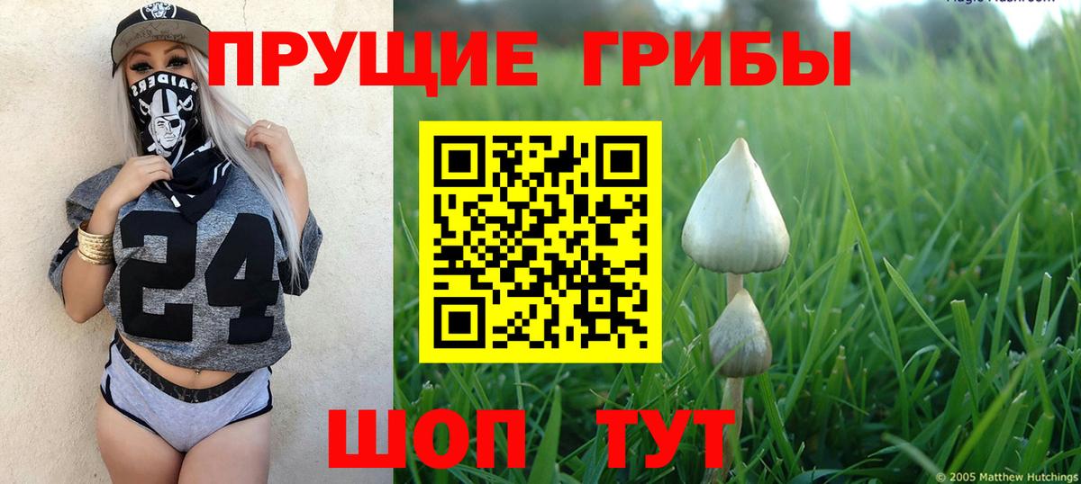 Псилоцибиновые грибы Cubensis  Псилоцибиновые грибы Psilocybine cubensis  сколько стоит  Вход с VPN  Сердобск 